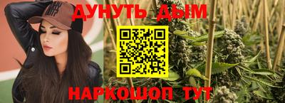 скорость Дубна