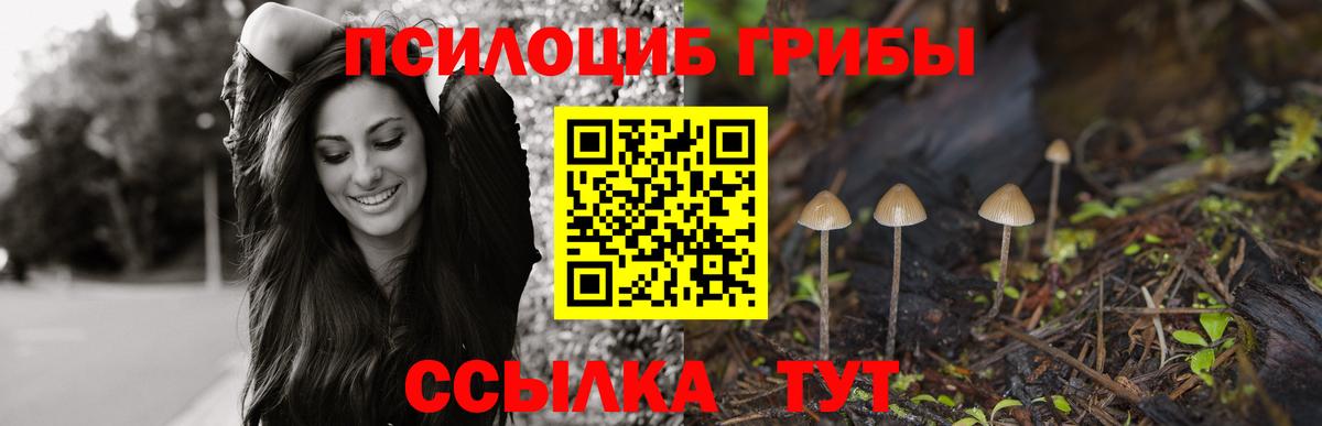 Псилоцибиновые грибы прущие грибы Лосино-Петровский